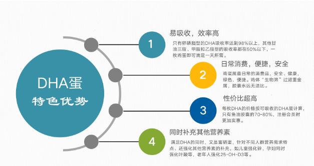 安全、高效補(bǔ)充營(yíng)養(yǎng) DHA雞蛋老少皆宜吸收率高食療好選擇