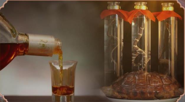 龜蛇酒不適合那些人喝?