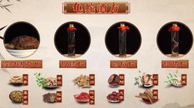 帶你了解真正的龜蛇酒