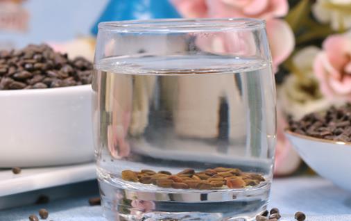決明子泡水顏色越深越好嗎 決明子泡水是紅色的嗎