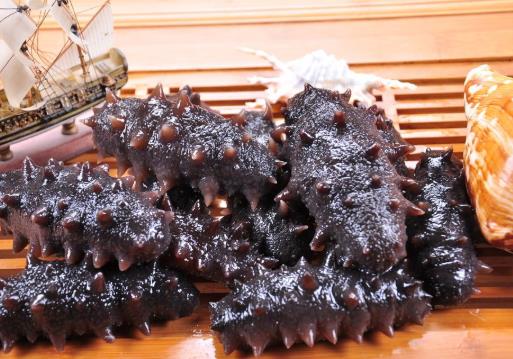 海參帶刺和不帶刺的哪個好?海參發(fā)白是什么原因