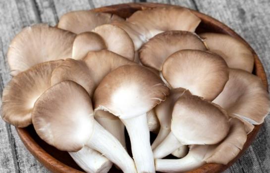 孕婦可以吃秀珍菇嗎?孕婦吃秀珍菇有哪些好處?