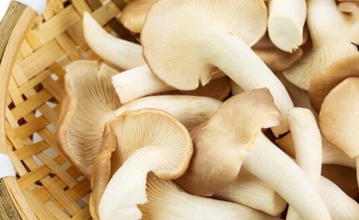經(jīng)期可以吃秀珍菇嗎?吃秀珍菇有哪些好處?
