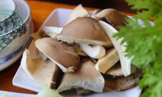 痛風可以吃平菇嗎?平菇和什么一起吃好?
