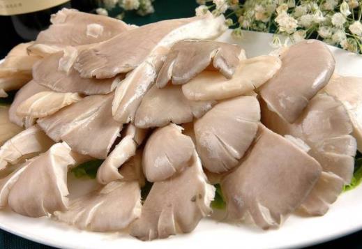 脯乳期可以吃平菇嗎?平菇發(fā)苦是怎么回事?