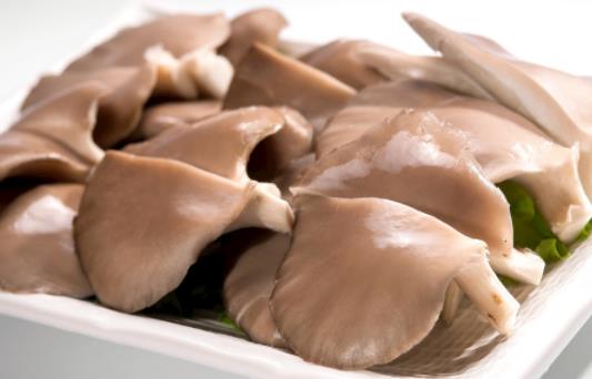 平菇可以和牡蠣可以一起吃嗎?吃平菇有哪些功效?