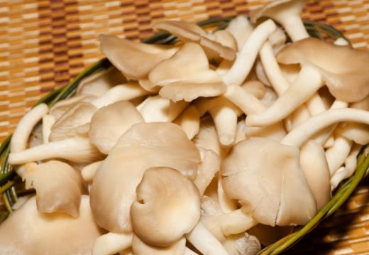 經(jīng)期可以吃秀珍菇嗎?吃秀珍菇有哪些好處?