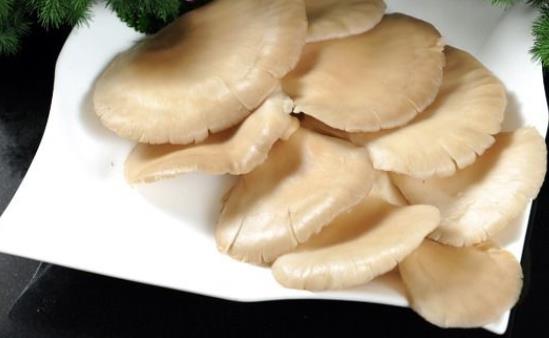 產(chǎn)婦可以吃平菇嗎?產(chǎn)婦吃平菇有哪些好處?