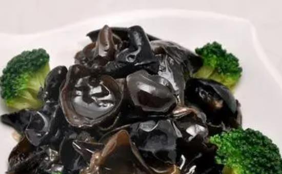 木耳屬于涼性食物嗎?吃黑木耳有哪些功效?