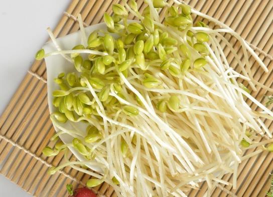 綠豆芽半生半熟能吃嗎?綠豆芽長(zhǎng)葉能吃嗎
