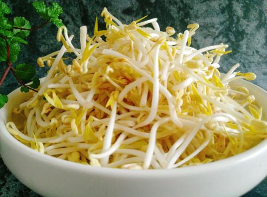 綠豆芽半生半熟能吃嗎?綠豆芽長(zhǎng)葉能吃嗎