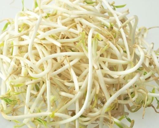 綠豆芽半生半熟能吃嗎?綠豆芽長(zhǎng)葉能吃嗎