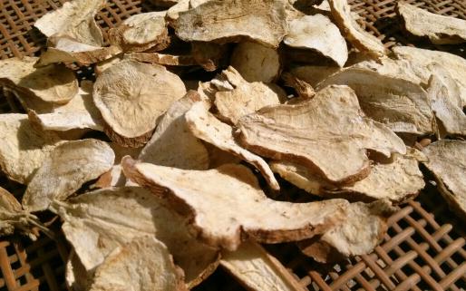 白術(shù)要炒的還是生的 白術(shù)吃多了有危害嗎