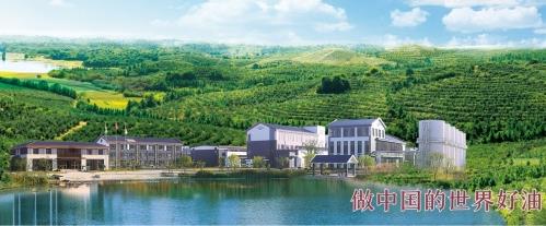 花深里特級有機鮮榨山茶油 只為國人吃的健康更安心