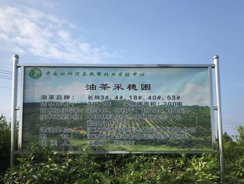 花深里特級有機鮮榨山茶油 只為國人吃的健康更安心
