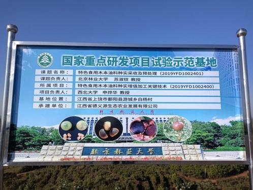 花深里特級有機鮮榨山茶油 只為國人吃的健康更安心