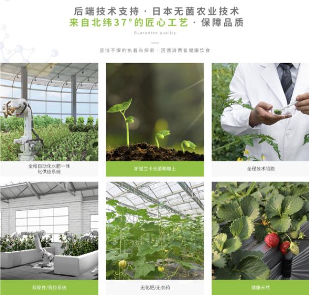 道同漢方溯源行動(dòng) 致力打造真溯源、真綠色、全封閉式的產(chǎn)業(yè)平臺(tái)