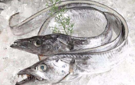 帶魚表面銀色需要去掉嗎 帶魚會(huì)導(dǎo)致過(guò)敏嗎