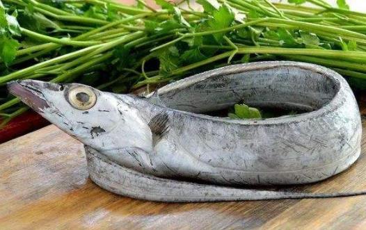帶魚表面銀色需要去掉嗎 帶魚會(huì)導(dǎo)致過(guò)敏嗎