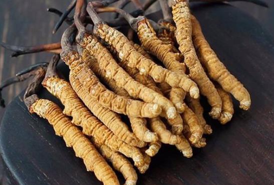 蟲草發(fā)霉是怎么樣的?蟲草霉了還可以吃嗎
