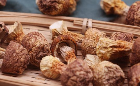 姬松茸是野生的嗎 姬松茸是松茸嗎