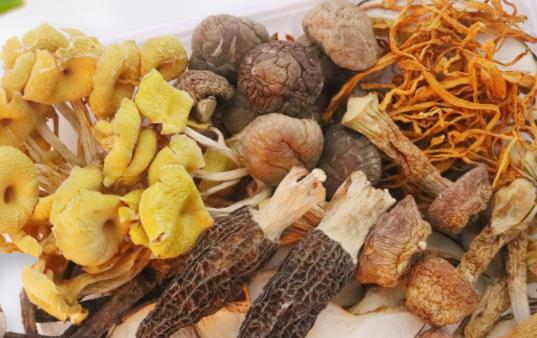 姬松茸是野生的嗎 姬松茸是松茸嗎