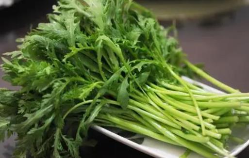 茼蒿炒著吃用焯水嗎 茼蒿菜生吃還是熟吃治失眠