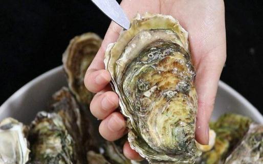 生蠔怎么清洗內(nèi)臟圖解 生蠔清洗干凈后能放冰箱冷藏多久