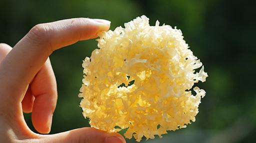 銀耳一般泡幾個(gè)小時(shí)為好 銀耳長時(shí)間泡發(fā)好不好