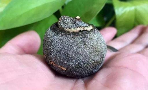 陳皮上的白霜是什么圖片 陳皮上有白點(diǎn)是發(fā)霉嗎