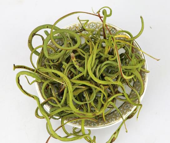 腎精茶喝著有腥味好不好?女人能喝腎精草泡水嗎