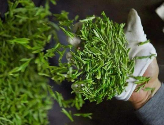 腸胃不好的人喝龍井茶好嗎?龍井茶葉陳了還能喝嗎