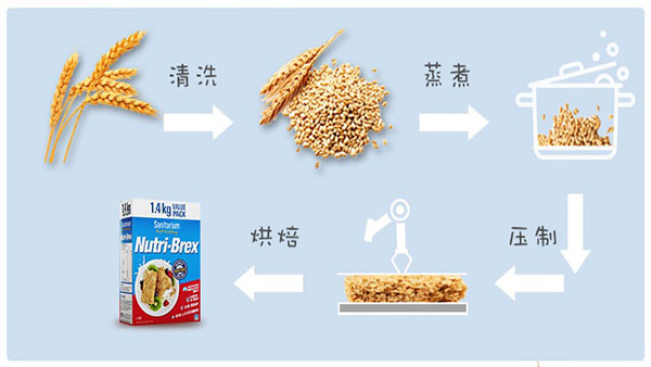 欣善怡Nutri-Brex全谷麥片:百年品牌產(chǎn)品,口碑值得信賴 undefined