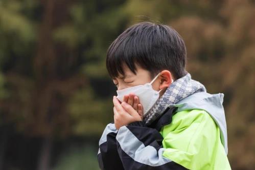正確了解蛋白粉的功效,這些問題簡直不要太簡單