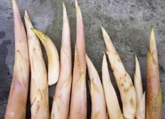 有毛毛的冬筍可以吃嗎?冬筍切好后怎么保存