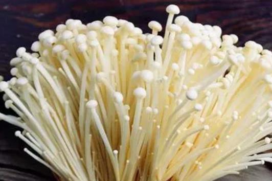 吃金針菇不消化有營(yíng)養(yǎng)嗎?為什么吃金針菇會(huì)不消化?