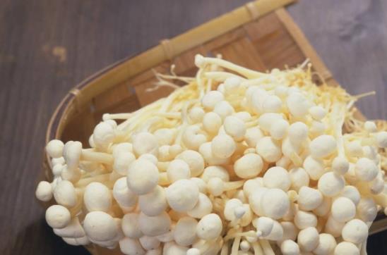 吃金針菇會上火嗎?吃金針菇有哪些好處?