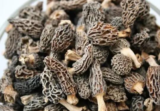 羊肚菌可以泡酒喝嗎?羊肚菌怎么保存好?