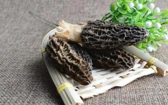 感冒可以吃羊肚菌嗎?吃羊肚菌有哪些好處?