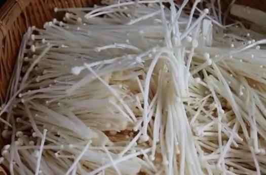 長蕁麻疹可以吃金針菇嗎?金針菇為什么有股酸味?
