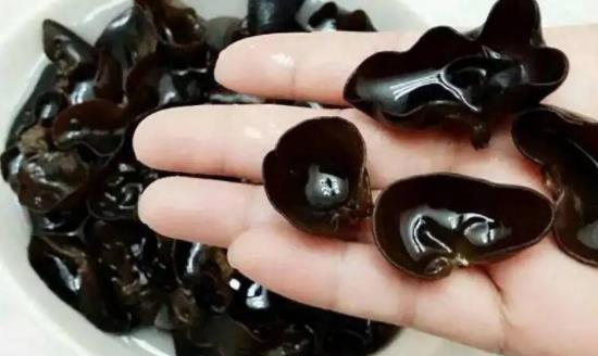木耳可以治便秘嗎?木耳發(fā)白正常嗎?