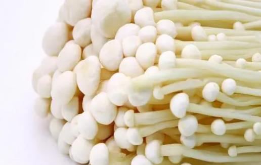 長蕁麻疹可以吃金針菇嗎?金針菇為什么有股酸味?
