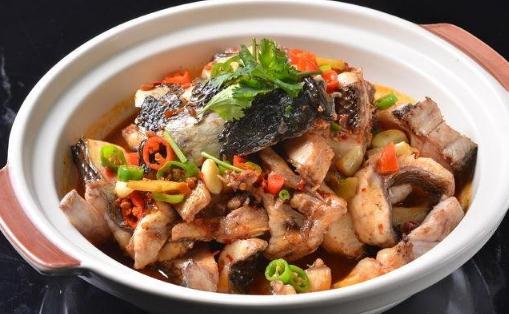 財(cái)魚手術(shù)幾天后吃 財(cái)魚吃了有助于傷口愈合嗎