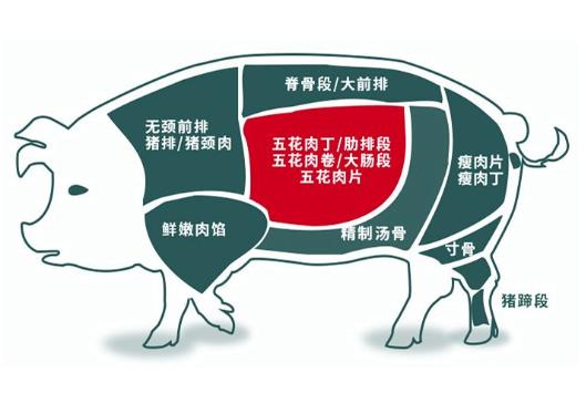 偶爾吃一次五花肉會(huì)不會(huì)胖?上五花肉和下五花肉在豬身上示意圖片