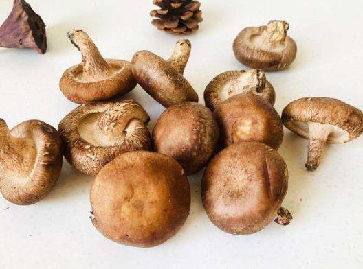 香菇里面發(fā)黑了還能要嗎?香菇不泡發(fā)可以煮嗎