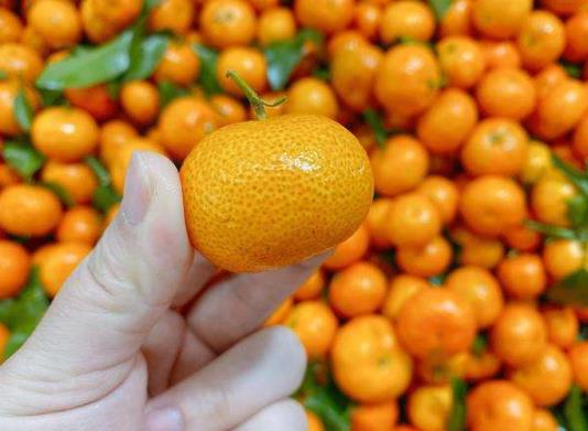 砂糖橘吃幾個(gè)比較好?吃砂糖橘會(huì)上火嗎