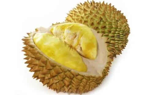 榴蓮沒熟可以蒸熟吃嗎 榴蓮蒸著吃會(huì)不會(huì)破壞營(yíng)養(yǎng)
