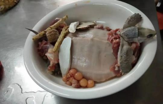 寶寶可以喝烏龜湯嗎?喝烏龜湯有哪些好處?