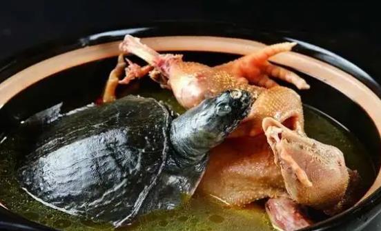 寶寶可以喝烏龜湯嗎?喝烏龜湯有哪些好處?