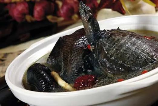寶寶可以喝烏龜湯嗎?喝烏龜湯有哪些好處?
